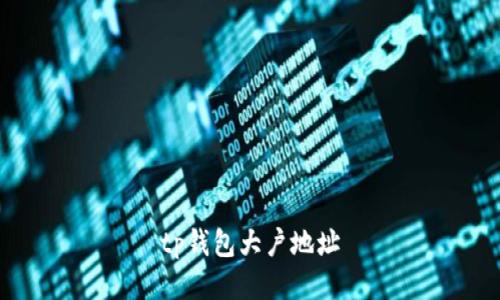 TP钱包大户地址：怎么查找和利用？