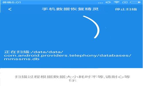 如何找到TP钱包客服?