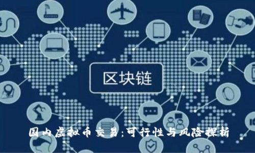 国内虚拟币交易:可行性与风险探析