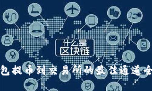 TP钱包提币到交易所的最佳通道全解析