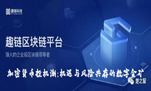加密货币投机潮：机遇与风险共存的数字金矿