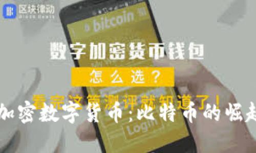 全球最大的加密数字货币：比特币的崛起与未来展望
