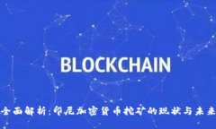全面解析：印尼加密货币挖矿的现状与未来