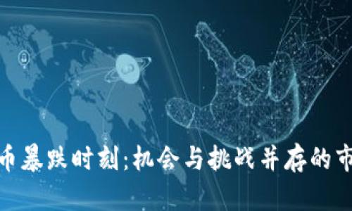 加密货币暴跌时刻：机会与挑战并存的市场洞察