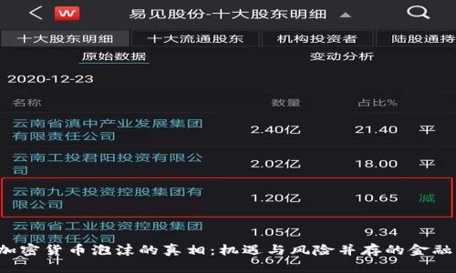  揭开硅谷加密货币泡沫的真相：机遇与风险并存的金融科技新纪元