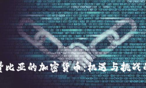 探索赞比亚的加密货币：机遇与挑战的前景