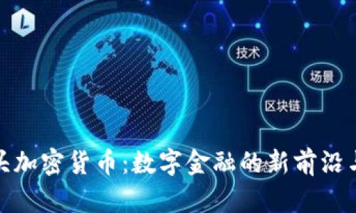 爆炸头加密货币：数字金融的新前沿与机遇