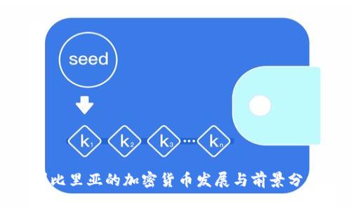利比里亚的加密货币发展与前景分析