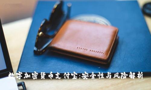数字加密货币支付宝：安全性与风险解析