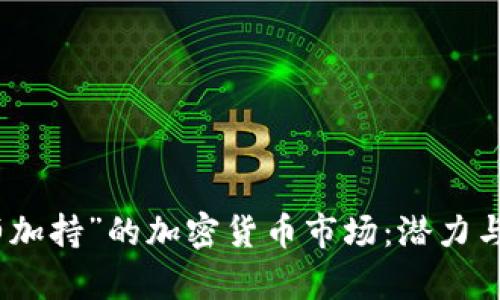 揭秘“大师加持”的加密货币市场：潜力与风险并存