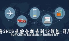 如何将SHIB币安全提币到TP钱包：详尽指南