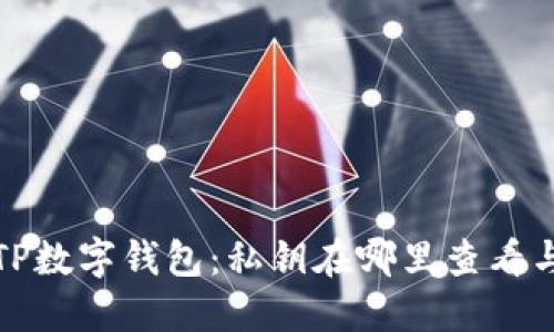 探索TP数字钱包：私钥在哪里查看与管理