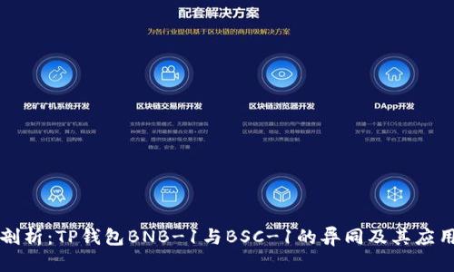 深入剖析：TP钱包BNB-1与BSC-1的异同及其应用场景