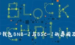 深入剖析：TP钱包BNB-1与BSC-1的异同及其应用场景