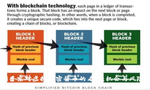 biasoti普京对虚拟加密货币的看法：机会与风险的交锋
