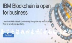 TP钱包删除了还能找回来吗？全面解读数据恢复策