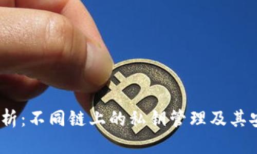 : t钱包解析：不同链上的私钥管理及其安全性探讨