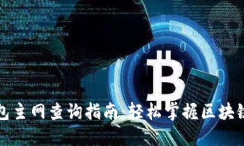TP钱包主网查询指南：轻松掌握区块链动态