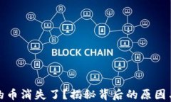 TP钱包里的币消失了？揭秘背后的原因与解决方案