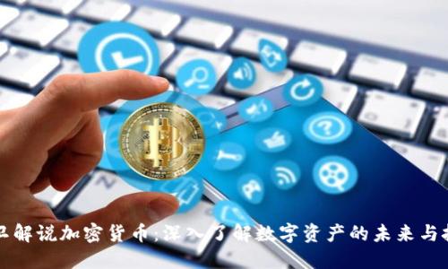大卫解说加密货币：深入了解数字资产的未来与挑战