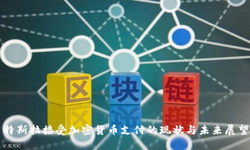 特斯拉接受加密货币支付的现状与未来展望