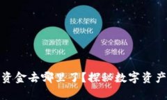 TP钱包删除的资金去哪里了？探秘数字资产的存储