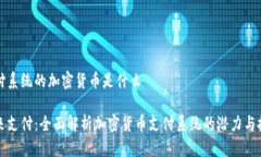 支付系统的加密货币是什么未来支付：全面解析