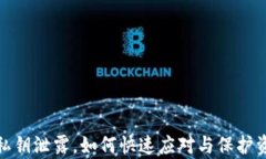 tp钱包私钥泄露，如何快速应对与保护资产安全