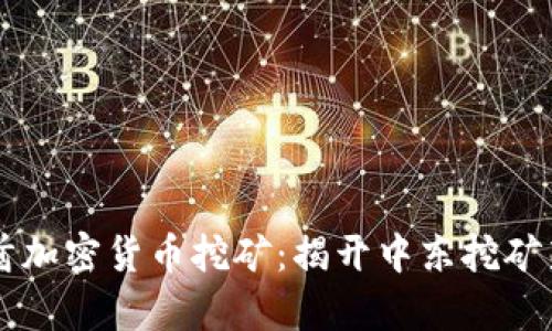 阿联酋加密货币挖矿：揭开中东挖矿新篇章