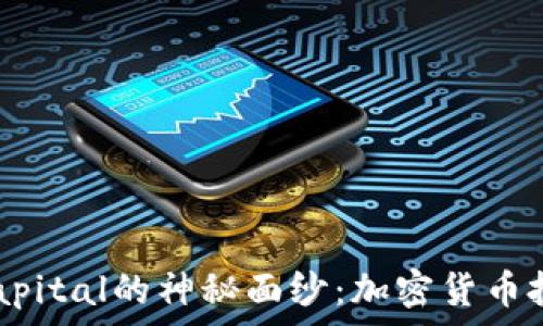  

揭开Pantera Capital的神秘面纱：加密货币投资的未来领航者