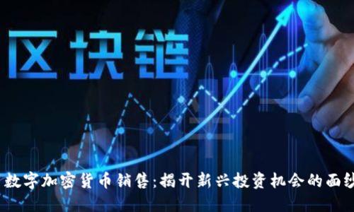  数字加密货币销售：揭开新兴投资机会的面纱