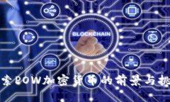 探索POW加密货币的前景与挑战
