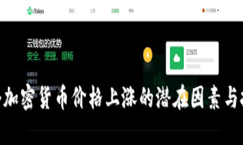 : 下一个加密货币价格上涨的潜在因素与投资机会
