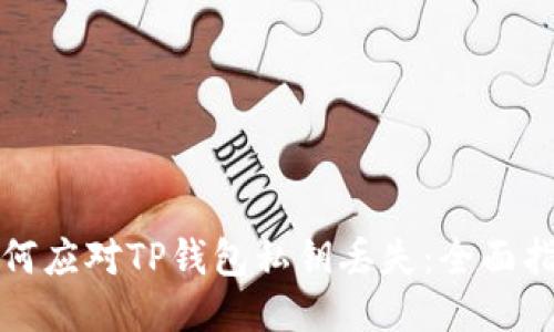如何应对TP钱包私钥丢失：全面指南