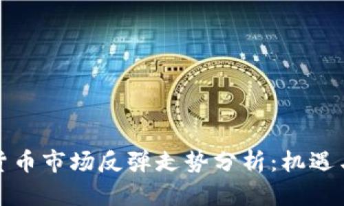 加密货币市场反弹走势分析：机遇与挑战