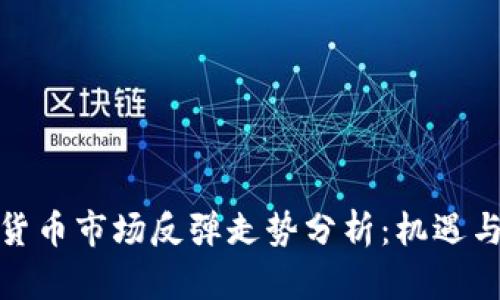 加密货币市场反弹走势分析：机遇与挑战
