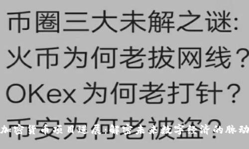 加密货币项目进展：解密未来数字经济的脉动