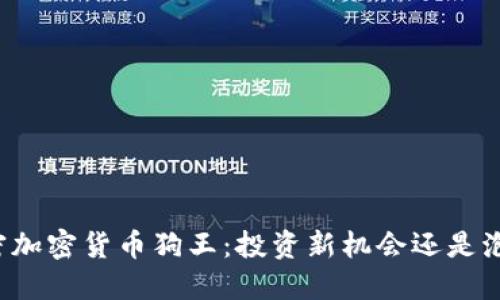 解密加密货币狗王：投资新机会还是泡沫?