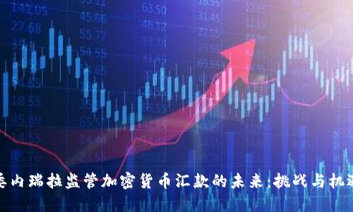 委内瑞拉监管加密货币汇款的未来：挑战与机遇