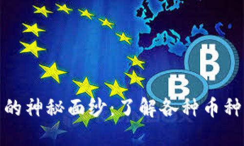 揭开加密货币的神秘面纱：了解各种币种的类别与特性