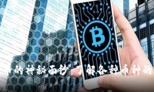 揭开加密货币的神秘面纱：了解各种币种的类别与特性