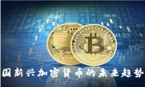 :
探索中国新兴加密货币的未来趋势与机遇