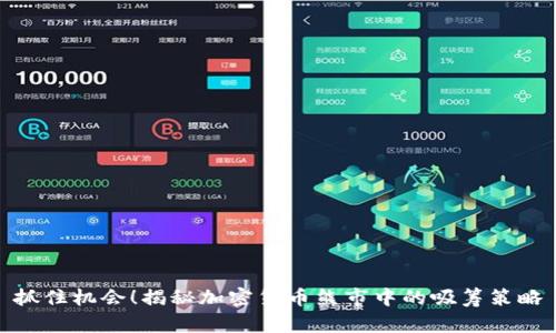 抓住机会！揭秘加密货币熊市中的吸筹策略