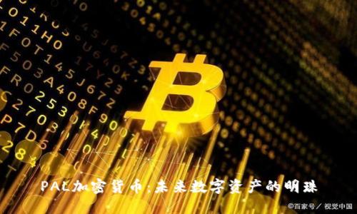PAL加密货币：未来数字资产的明珠