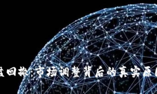 加密货币大盘回撤：市场调整背后的真实原因与未来展望