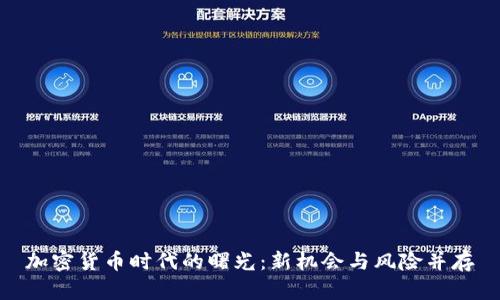 加密货币时代的曙光：新机会与风险并存
