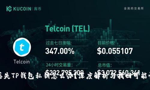 丢失TP钱包私钥怎么办？深度解析与找回可能性