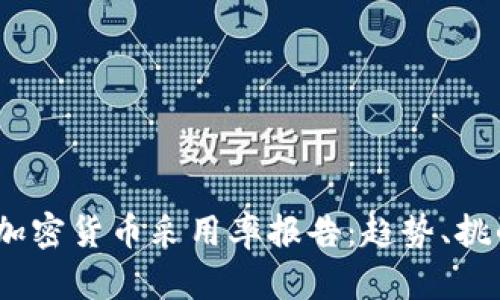 2023年全球加密货币采用率报告：趋势、挑战与未来机遇