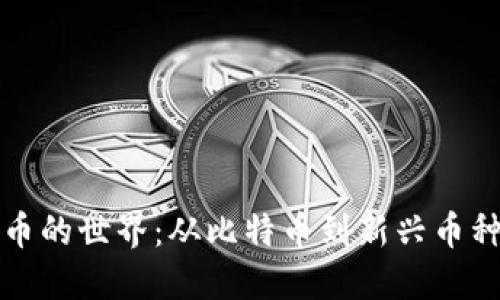 探索加密货币的世界：从比特币到新兴币种的全面盘点