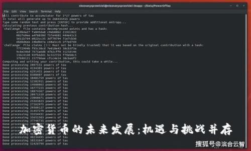 加密货币的未来发展：机遇与挑战并存